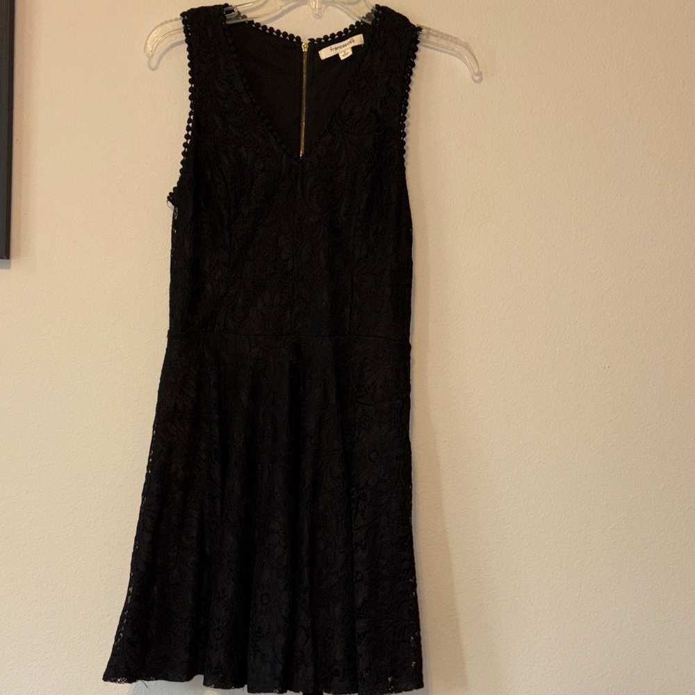 Francesca's Collections Black Lace Mini Dress